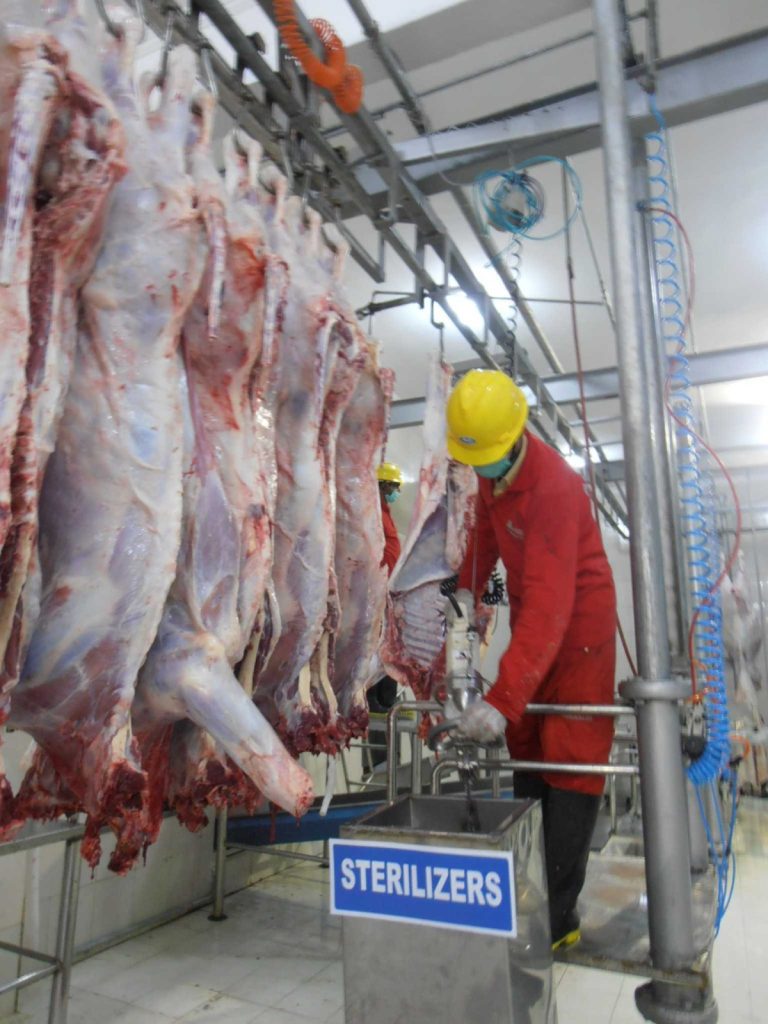Home beef, sirloin, meat, korean beef, beef, beef, beef, beef, sirloin, meat, meat, meat, meat, meat, korean beef, Meat Exporters in Pakistan, Anis Associates, Saifi Group of Companies