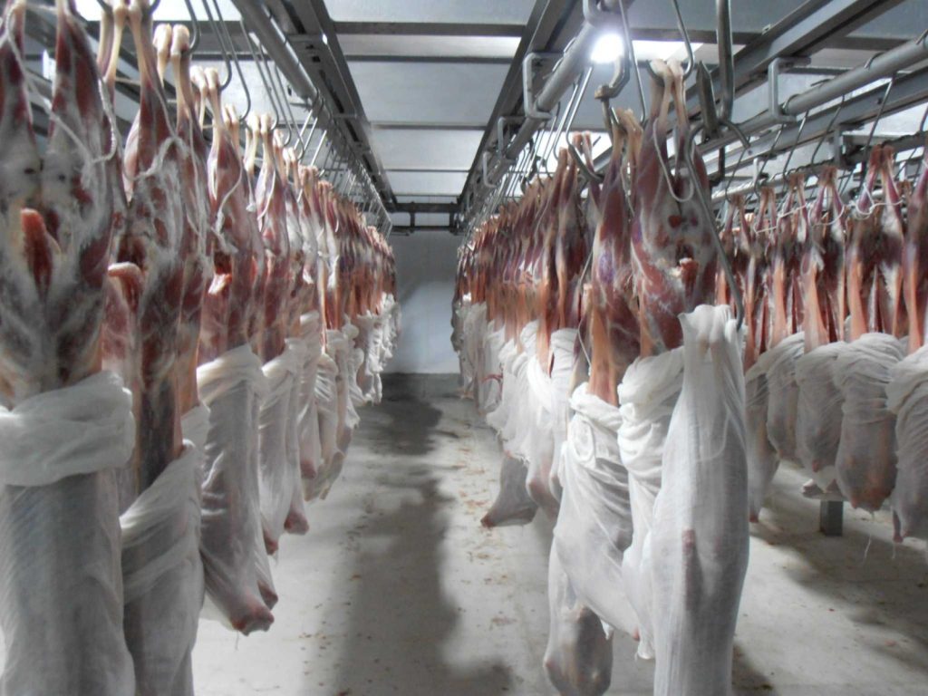 Home beef, sirloin, meat, korean beef, beef, beef, beef, beef, sirloin, meat, meat, meat, meat, meat, korean beef, Meat Exporters in Pakistan, Anis Associates, Saifi Group of Companies