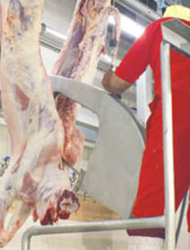 meat1111