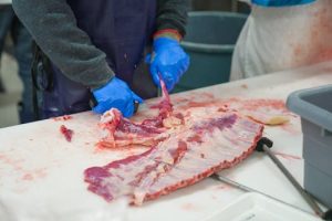 Home Close-up of a butcher processing meat with gloves on, highlighting food preparation techniques.