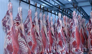 pakistani meat