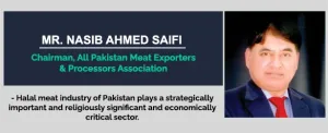 saifi1