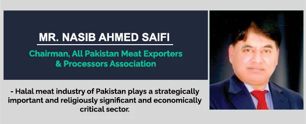 saifi1