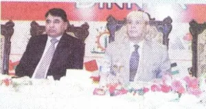 saifi2